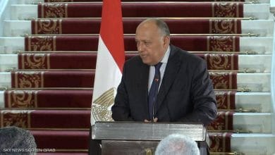 الخارجية المصرية: مفاوضات كينشاسا الفرصة الأخيرة لسد النهضة