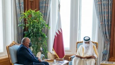 الرئيس السيسي يدعو أمير دولة قطر لزيارة مصر في أقرب فرصة