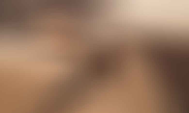 دكار 2021: بيترهانسل يظفر باللقب الرابع عشر في مسيرته وحزن في فئة الدراجات