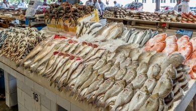 ارتفاع الجمبري والمرجان.. أسعار الأسماك اليوم الأربعاء 17 فبراير 2021