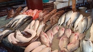 أسعار الأسماك اليوم الجمعة 30 إبريل 2021