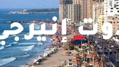 تحذير رسمي إلى المصطافين على شواطئ الإسكندرية
