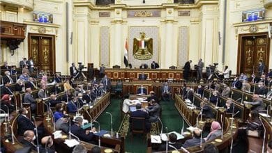 رئيسة «سياحة النواب» تبحث تنمية العلاقات البرلمانية بين مصر وصربيا