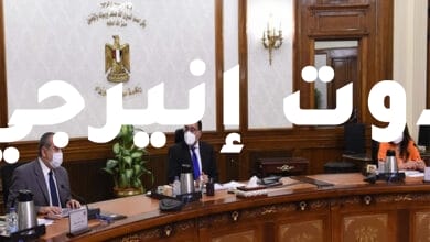 رئيس الوزراء يستعرض مع وزير الطيران مستجدات إعادة هيكلة قطاع الطيران المدني والشركة القابضة لـ "مصر للطيران"