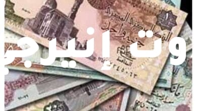 الجنيه المصري يواصل حصد المكاسب وتوقعات دولية باستمرار أدائه القوي أمام العملات الأجنبية