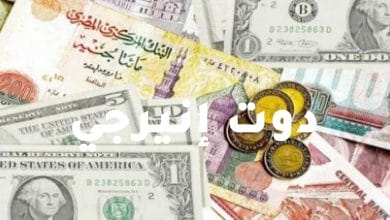 صورة سعر الدولار اليوم الخميس 24 نوفمبر 2022 في مصر 