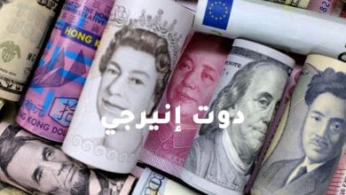 استقرار «أسعار الدولار» مقابل الجنيه المصري