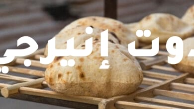 مجلس الوزراء: رفع سعر توريد القمح المحلي بواقع 65 جنيهًا