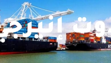 صادرات مصر السلعية تبلغ 9 مليار و176 مليون دولار في الربع الأول بنسبة زيادة 20%