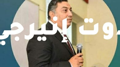 وزير البترول يكلف محمد أبو العلا رئيسا لمجلس الإدارة والعضو المنتدب لشركة بترونفرتيتي