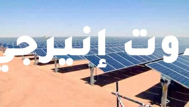 وزير الكهرباء: مصر تمتلك أكبر قدرات كهربائية في الشرق الأوسط وشمال إفريقيا يمكن إنتاجها من طاقتى الرياح والشمس