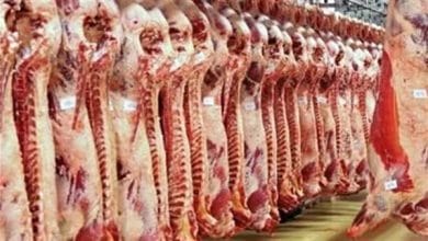 صورة ه انواع من اللحوم تغزو الأسواق المصرية