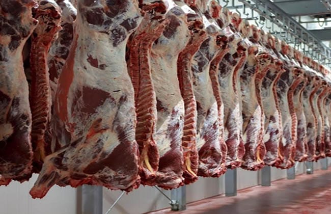 أسعار اللحوم في السوق اليوم الثلاثاء 15