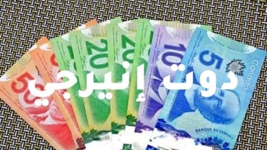 سعر الدولار الكندي اليوم الأثنين 16أغسطس 2021