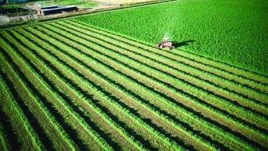 الإحصاء: 10.3 مليون فدان مساحة زمام الأراضي الزراعية خلال 2019