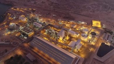 باستثمارات 11.6 مليار جنيه.. قطاع الأعمال: "كيما 2" صرح صناعي لإنتاج الأسمدة بصعيد مصر