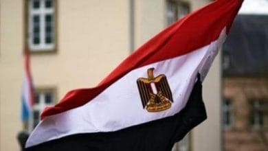 الخارجية المصرية